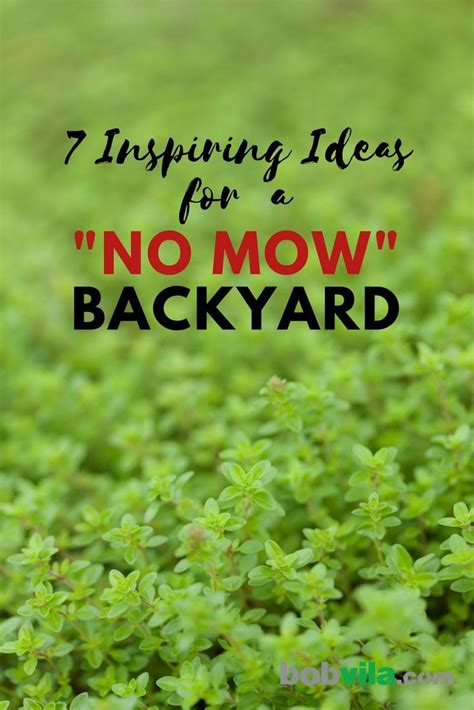 Goodbye Grass 13 Inspiring Ideas For A No Mow Backyard Lawn