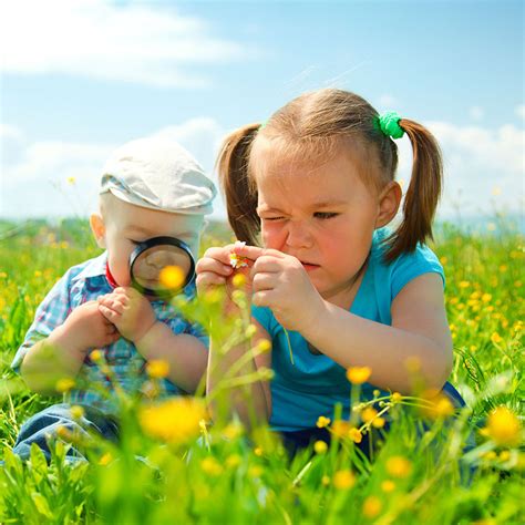 Children Are Playing On Green Meadow Examining Field Flowers Using