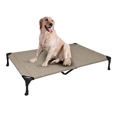 Top 10 Best Elevated Pet Bed Reviews And Comparison In 2023