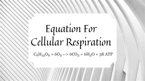 Any chemical process that yields energy is known as a catabolic pathway. What Are The Reactants In The Equation For Cellular ...