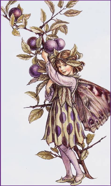 The Song Of The Sloe Fairy An Autumn Flower Fairy Poem By Cicely Mary