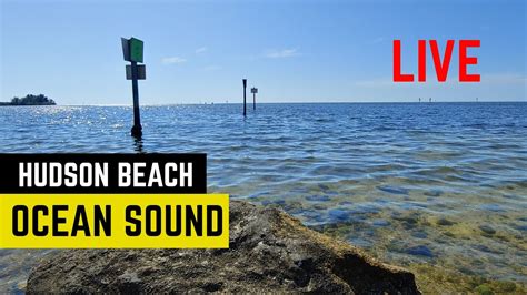Hudson Beach Live Ocean Video And Sound Travels Nature Youtube