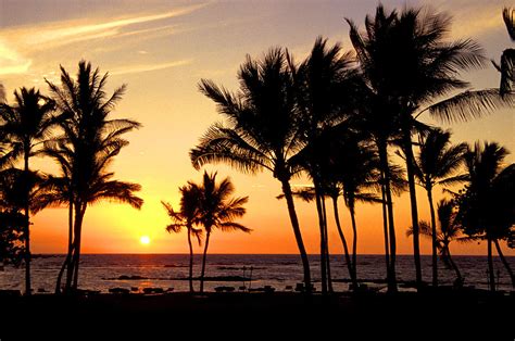 Big Island Sunset Photograph By Carol Barrington