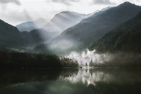Foggy Lake Pictures Download Free Images On Unsplash