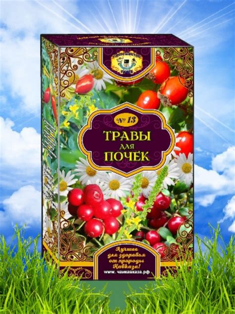 Травяной чай "Травы для почек" 25 ф/п/Травяной чай в пакетиках/чай в ...