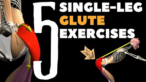 5 Single Leg Glute Exercises Watch All Active Muscles Youtube