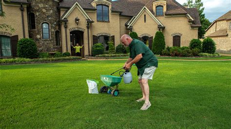 Lawn Weed Control Memphis Tn And Olive Branch Ms Master Lawn
