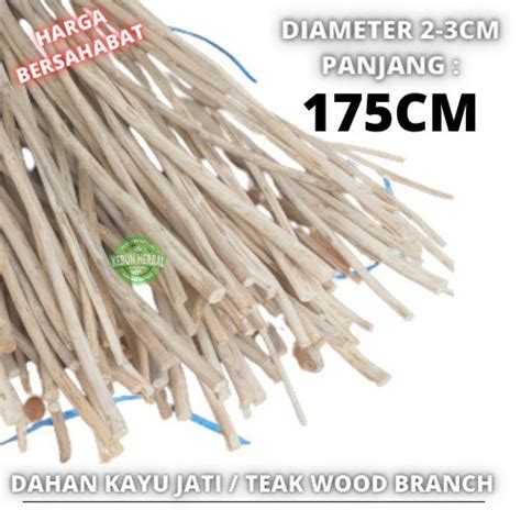 Jual Promo Teak Wood Branch 175 Cm Dahan Ranting Kayu Jati Macrame Di