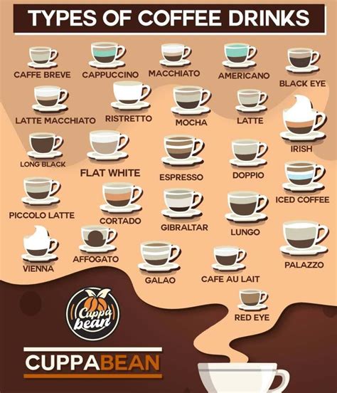25 Different Types Of Coffee Drinks Explained Infographic In 2021