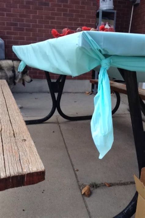 Tie All Corners Of Your Plastic Tablecloth To Hold It Onto The Table Nice Alternative Diy