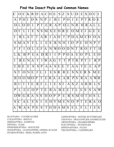 Insect Word Search Adults