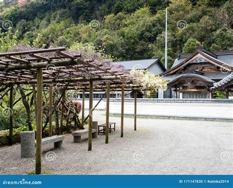 Pergola With Blooming Wisterias In A Japanese Temple Stock Photo
