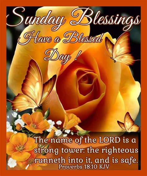 Sunday Blessings Quotes And Pictures Quotes The Day