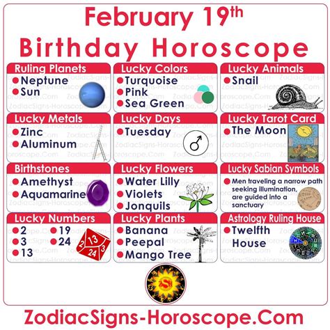 February 19 Zodiac Complete Birthday Personality And Horoscope In