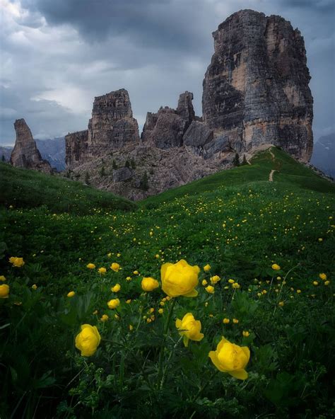 Oh This Dolomites Italy Dolomites Mountains Landscape Wildflowers