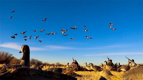 Most Epic Goose Hunting Ive Ever Seen Youtube