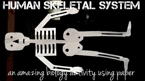 Human Skeleton Paper Model Youtube