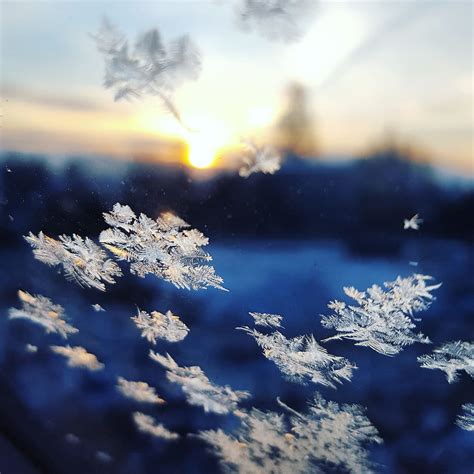 Snowflakes Falling Wallpaper