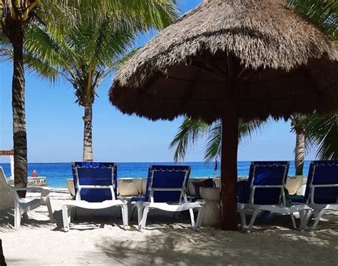 Cozumel Mexico Beaches Cozumel Beach Cozumel Cruise Occidental Xcaret Beach Bars Facebook