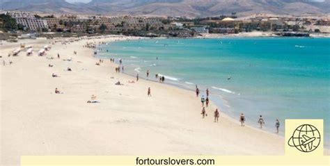 🌍8 Choses à Faire Et à Voir à Fuerteventura