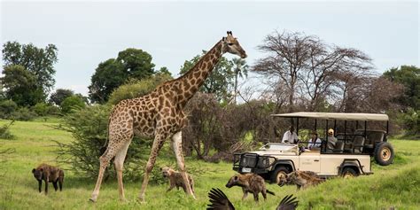 African Safaris Adventure Tours Life Is An Adventure Safari Adventure