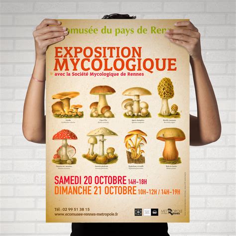 Ecomusee-exposition_mycologique | estampes