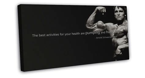 arnold schwarzenegger bodybuilder motivational quote 20x16 inch framed canvas print