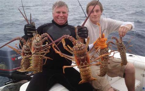 Recreational Lobstering In Florida Florida Go Fishing