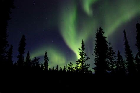 Northern Lights In The Wilderness Free Stock Photo Public Domain Pictures