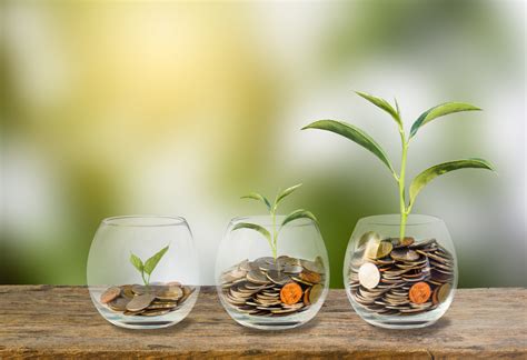 Tips To Help You Create And Grow Wealth The European Financial Review