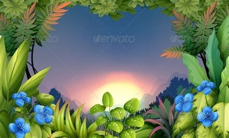 Morning In The Forest By Interactimages Graphicriver