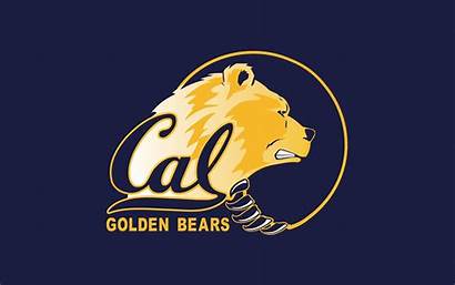 Bears Cal California Golden Wallpapers Chicago Flag