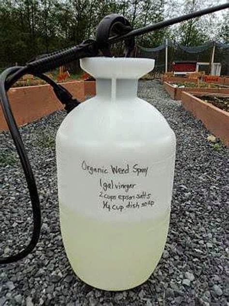 Plain, old tap water can do the trick too. All natural weed killer recipe > casaruraldavina.com