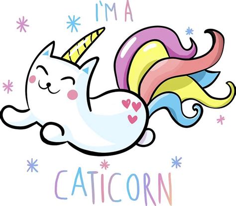 Im A Caticorn Cat Spray Unicorn Cat Pet Rocks Unicorn Birthday