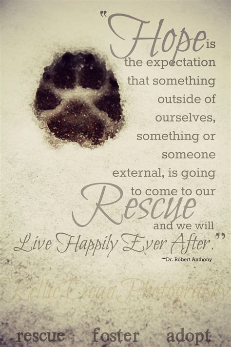 Rescue Quote Dogs Pinterest Quotes And Hope