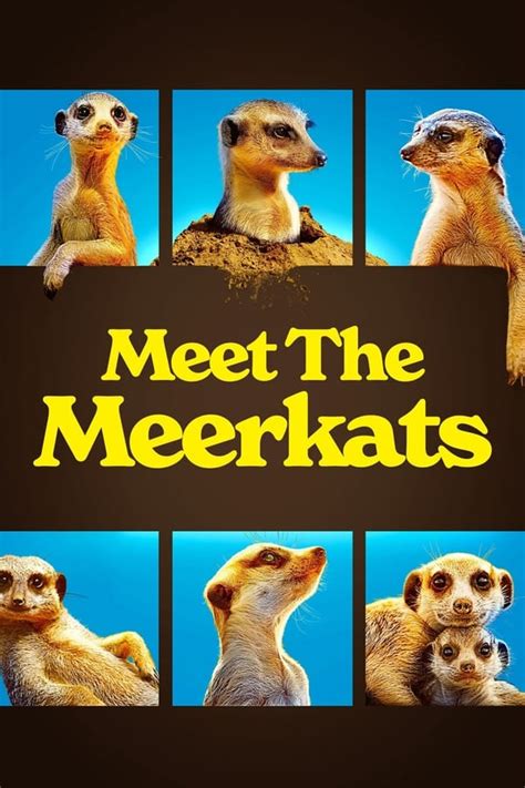 Meet The Meerkats Tv Series 2021 2021 — The Movie Database Tmdb