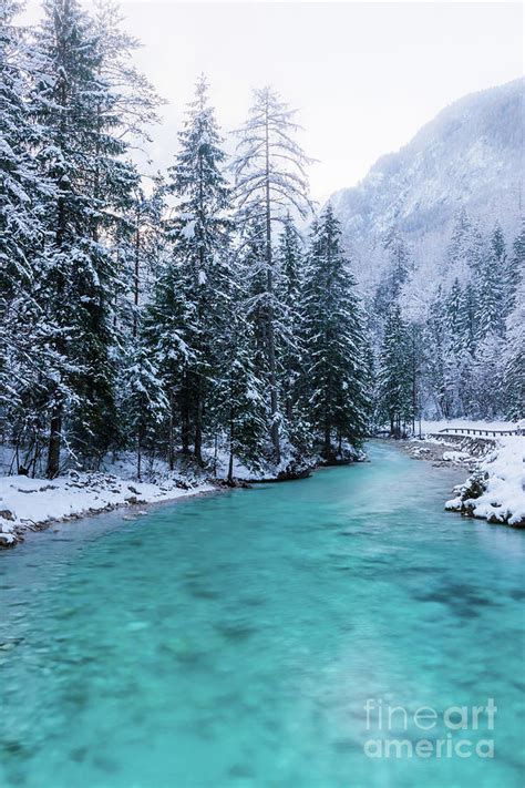 Magical River In Enchanted Winter Forest Photograph By Patrik Lovrin