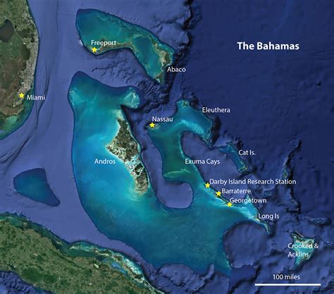Information Bahamas Marine Ecocentre