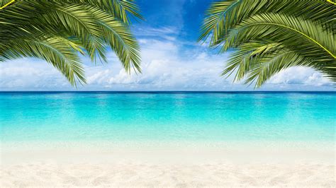 The Best Beach Zoom Background For When Youre Dreaming Of A Tropical