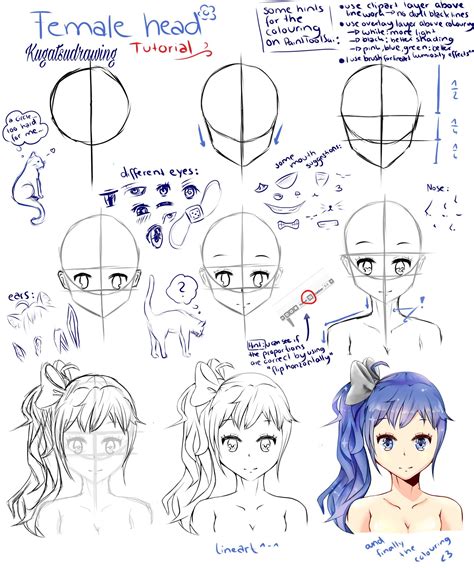 my first step by step tutorial i hope it helps you ๑･̑ ･̑๑ how to draw a manga girl head