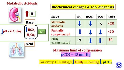 3 Metabolic Acidosis And Metabolic Alkalosis Acid Base Balance Biochemistry Youtube