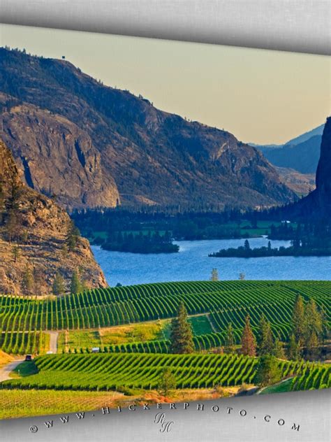 Free Download Blue Mountain Vineyard In The Okanagan Valley British