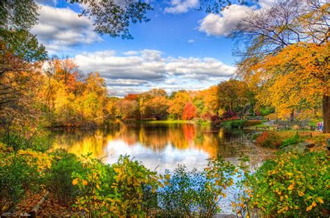 Fall Leaves On The Lake 2231x1479 Favorite Backgrounds And Wallpape