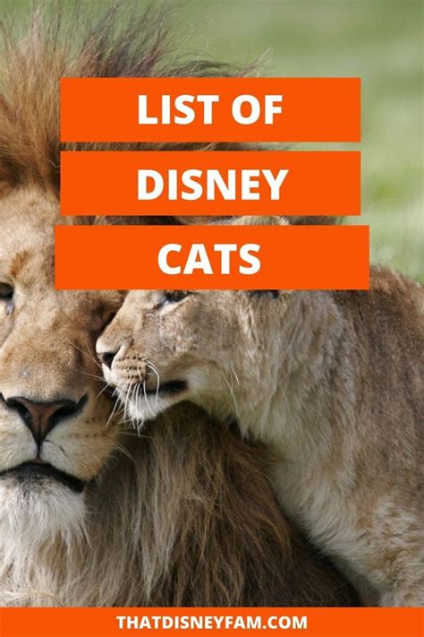 Two Lions Together Disney Animated Films Disney Movies Disney