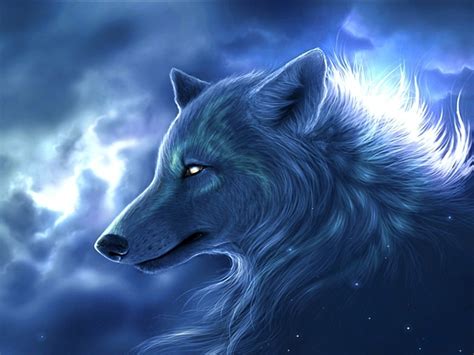 49 3d Wolf Wallpapers Wallpapersafari