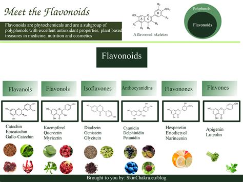 meet the flavonoids swettis beauty blog