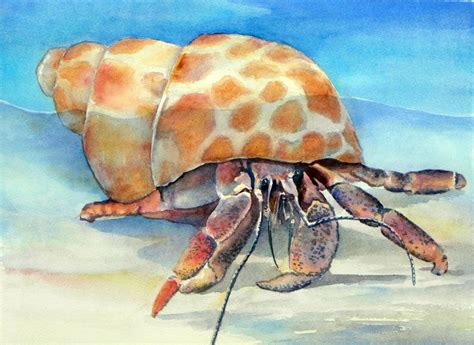 Hermit Crab In Spotted Shell By Sue Lynn Cotton Crab Painting Crab