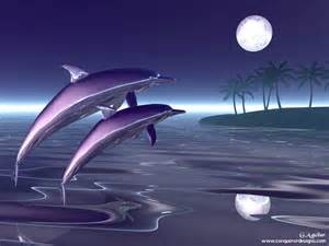 3d Dolphin Wallpaper 3d Dolphin Wallpaper 2 Pictures to pin on
