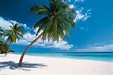 Punta Cana Vacations All Inclusive Packages