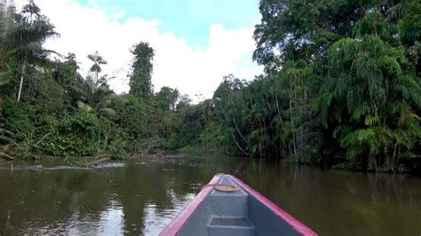 Just Traveling Up The Amazon River In Ecuador Youtube